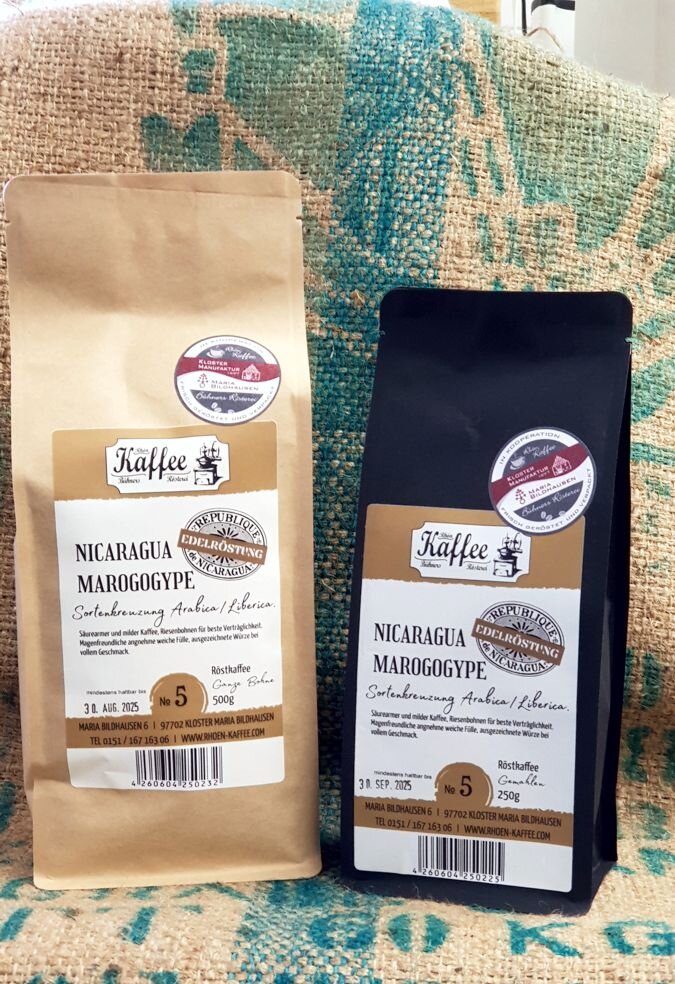 Nr.: 05 Nicaragua Marogogype, Sortenkreuzung Arabica/Liberica